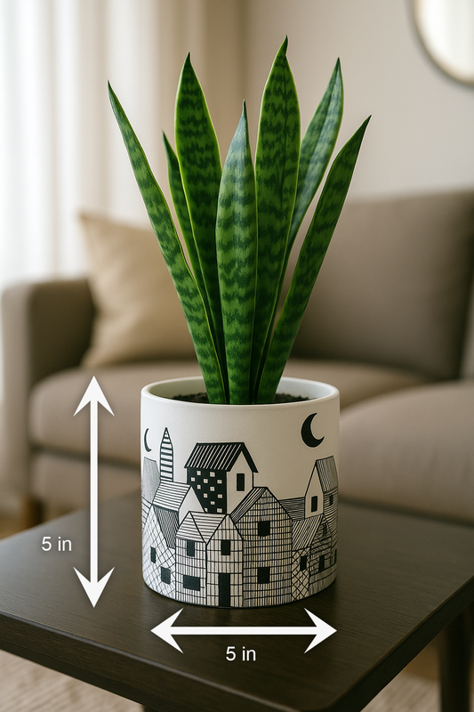 Black & White Ceramic Planter | Handcrafted Pot with Artistic House Design | 5 inch