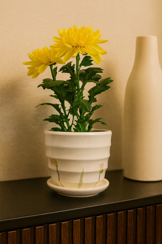 Premium Handcrafted White Ceramic Planter with Floral Detailing – 3.5x4 Inch | Elegant Small Indoor Plant Pot | HouseOfEleganceHub | Luxury Export Collection | Designer Ceramic Planter for Home & Office