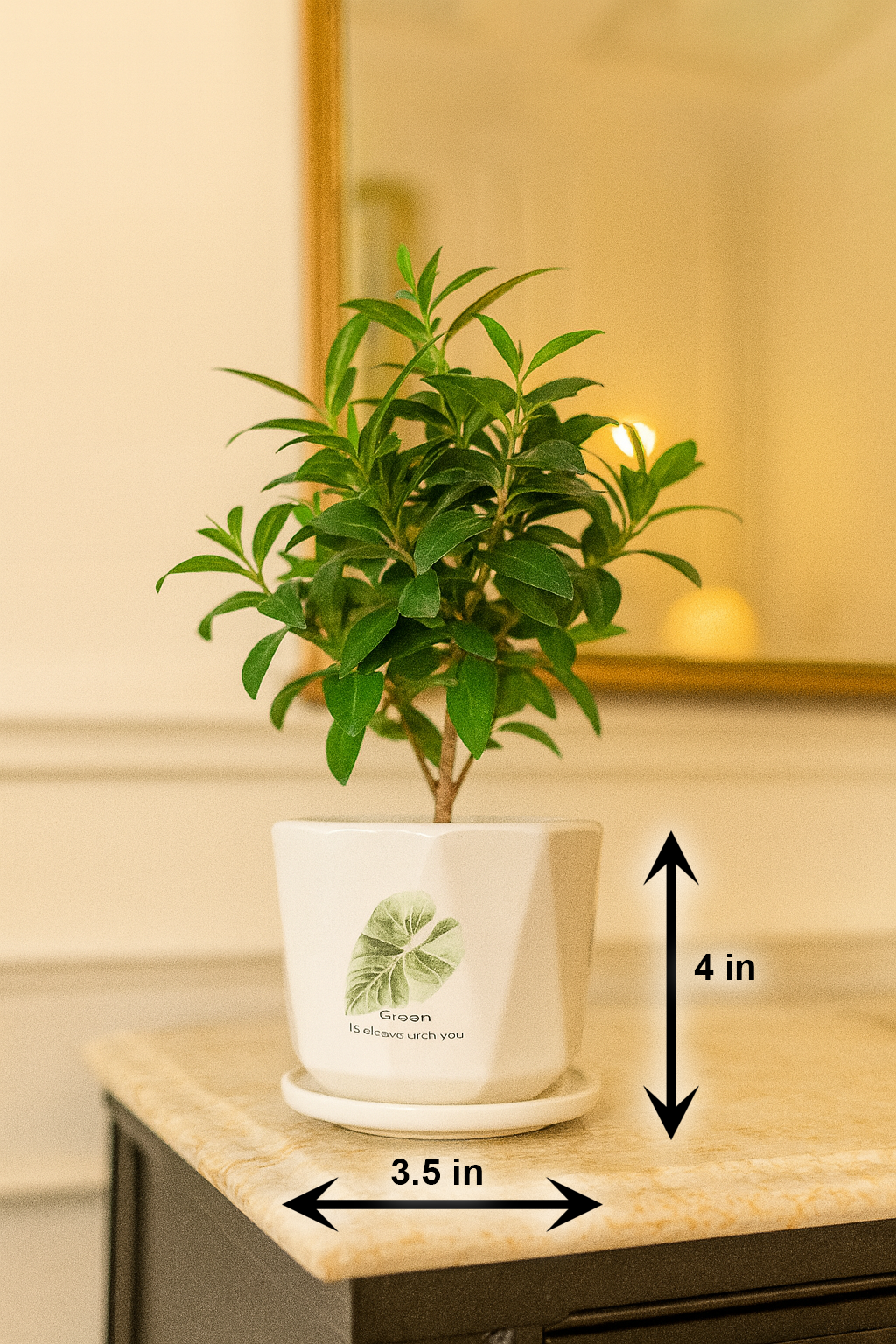 Premium Handcrafted White Ceramic Planter with Leaf Motif – 3.5x4 Inch | Elegant Small Indoor Plant Pot | HouseOfEleganceHub | Luxury Export Collection | Designer Ceramic Planter for Home & Office