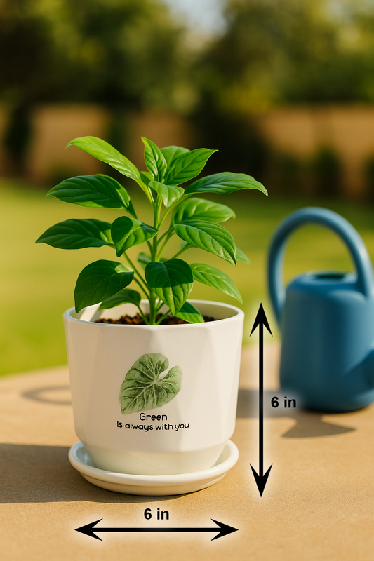 Exquisite Handcrafted White Ceramic Planter with Leaf Design – 6x6 Inch | Luxury Indoor Plant Pot | HouseOfEleganceHub | Premium Export Collection | Designer Planter for Home & Office Décor