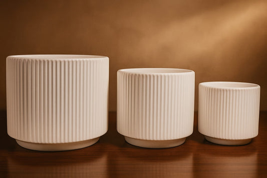 Modern Black / White Ceramic Planter (Set of 3 ) | Elegant Black / White Ribbed Design