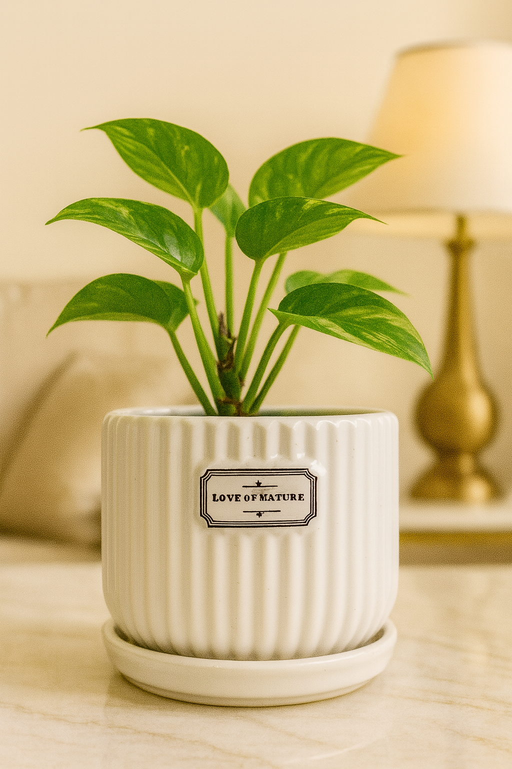 Elegant White Ribbed Ceramic Planter – 4x4 Inch | Luxury Indoor Plant Pot with “Love of Nature” Label | HouseOfEleganceHub | Premium Export Collection | Designer Ceramic Planter for Home & Office Décor