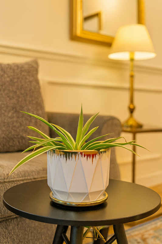 Elegant White & Gold Ceramic Planter – 5x5 Inch | Modern Tabletop Décor | HouseOfEleganceHub | Ceramic Planters for Home & Office Decoration | Indoor Plant Pot