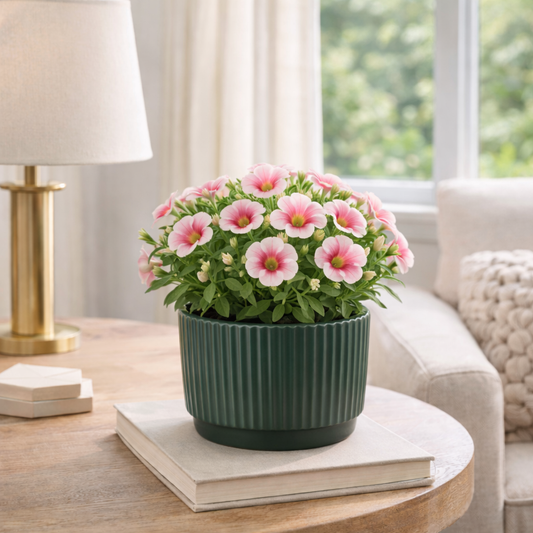 House of Eleganve Hub Green Premium Porcelain Ceramic Planter Pot for Indoor Plants | 12 cm Round Ribbed Design | Modern Decorative Flower Pot for Home, Office & Living Room