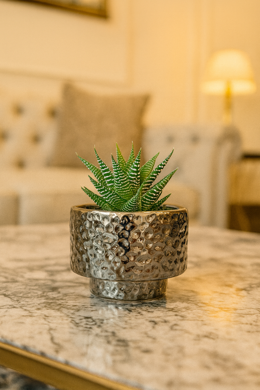 Exquisite Hammered Metallic Ceramic Planter – 4.5x3.5 Inch | Luxury Tabletop Indoor Plant Pot | HouseOfEleganceHub | Premium Export Collection | Designer Ceramic Planter for Home & Office Décor