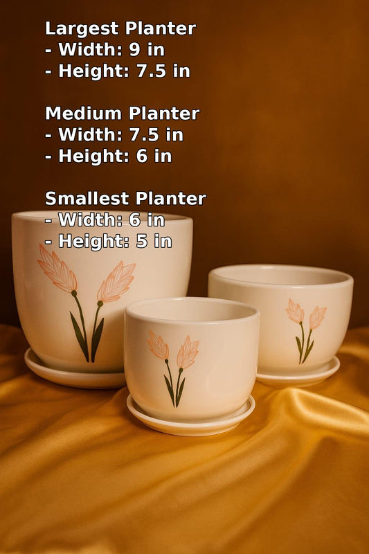 Beautiful Lily Flower Pot (Set of 3)
