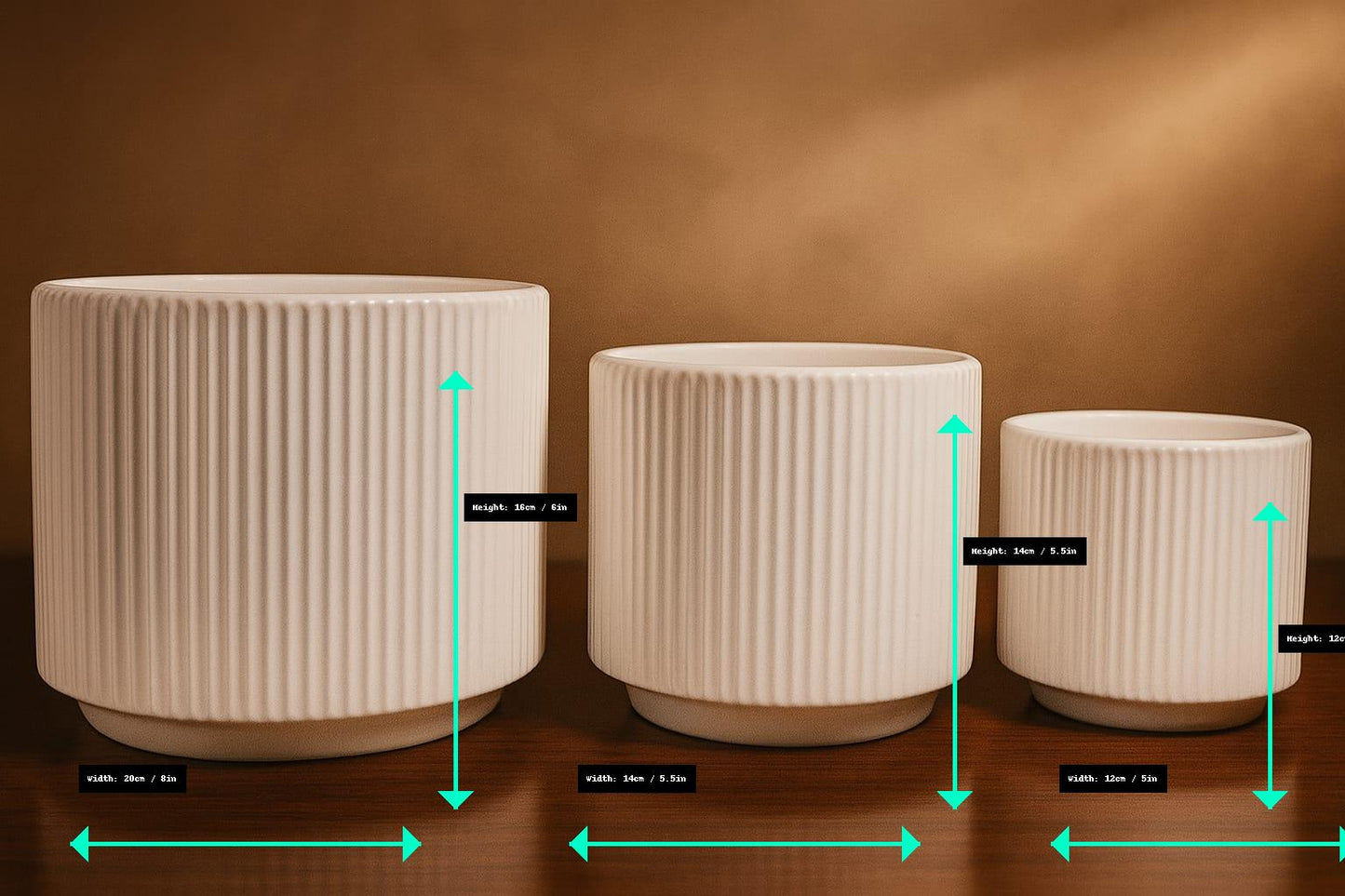 Modern Black / White Ceramic Planter (Set of 3 ) | Elegant Black / White Ribbed Design