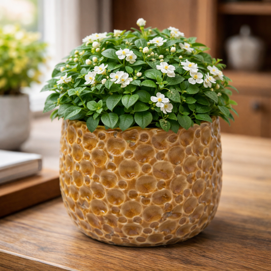 House of Elegance Hub Textured Yellow Ceramic Planter | Bubble Pattern Decorative Indoor Plant Pot | 14 cm Height × 13.5 cm Diameter | Tabletop Home & Office Décor