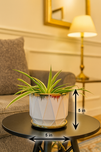 Elegant White & Gold Ceramic Planter – 5x5 Inch | Modern Tabletop Décor | HouseOfEleganceHub | Ceramic Planters for Home & Office Decoration | Indoor Plant Pot
