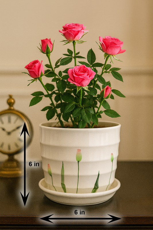 Exquisite Handcrafted White Ceramic Planter with Floral Design – 6x6 Inch | Luxury Indoor Plant Pot | HouseOfEleganceHub | Premium Export Collection