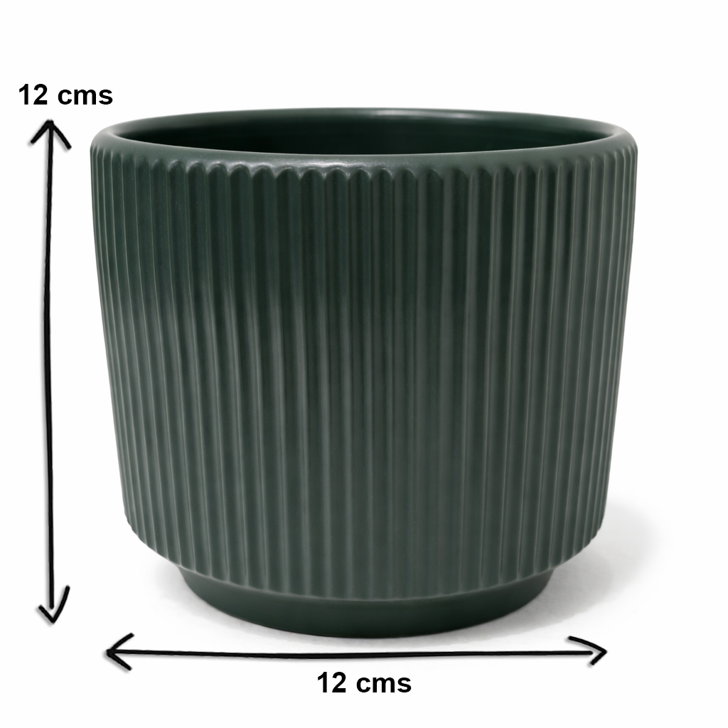 House of Eleganve Hub Green Premium Porcelain Ceramic Planter Pot for Indoor Plants | 12 cm Round Ribbed Design | Modern Decorative Flower Pot for Home, Office & Living Room