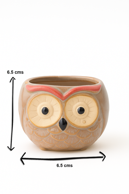 Cute Owl Head Ceramic Succulent Planter – 6.5 cm Mini Animal Pot for Home & Office Decor