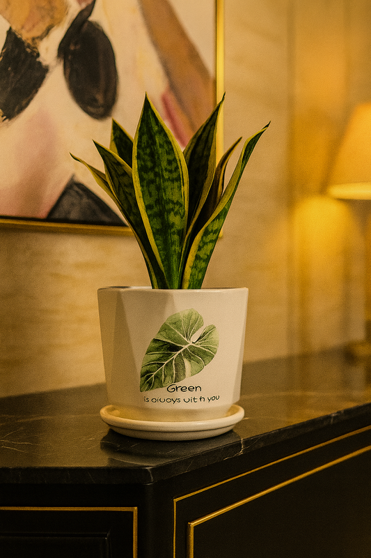 Luxury Handcrafted White Ceramic Planter with Leaf Motif – 5x6 Inch | Elegant Indoor Plant Pot | HouseOfEleganceHub | Premium Export Collection | Designer Planter for Home & Office Décor