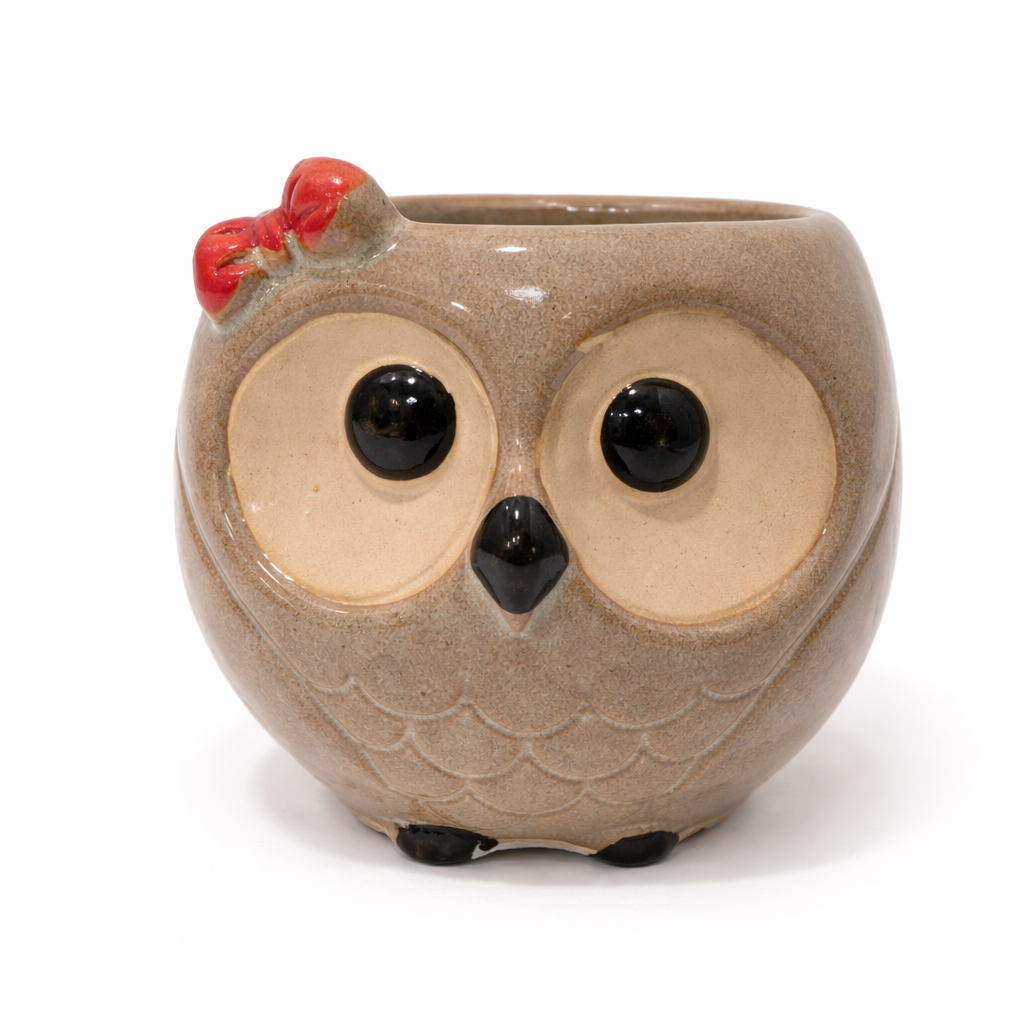 House of Elegance Hub Cute Owl Ceramic Planter | Small Decorative Owl Pot for Succulents & Indoor Plants | Tabletop Home Décor Planter (6.5 cm)