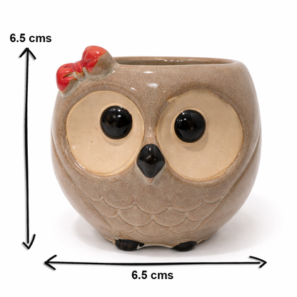 House of Elegance Hub Cute Owl Ceramic Planter | Small Decorative Owl Pot for Succulents & Indoor Plants | Tabletop Home Décor Planter (6.5 cm)