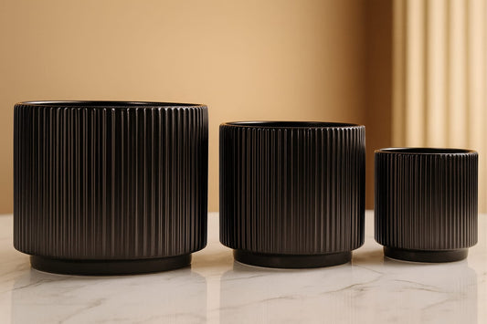 Modern Black / White Ceramic Planter (Set of 3 ) | Elegant Black / White Ribbed Design