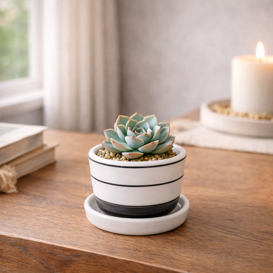 House of Elegance Hub Ceramic Planter with Attached Tray (11 × 11 × 10 cm) | Black & White Striped Round Flower Pot for Indoor Plants, Succulents & Home Décor