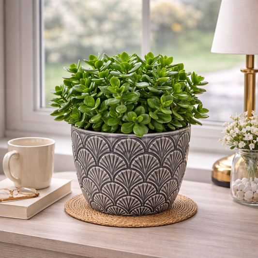 House of Elegance Hub Premium Porcelain Planter | Black Embossed Fan Texture Design | 13.5 cm Height, 13 cm Diameter | Decorative Indoor Plant Pot for Living Room, Tabletop & Home Décor