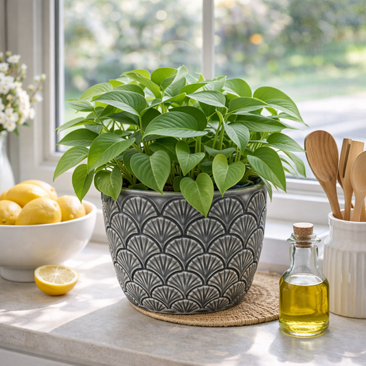 House of Elegance Hub Premium Porcelain Planter | Black Embossed Fan Texture Design | 13.5 cm Height, 13 cm Diameter | Decorative Indoor Plant Pot for Living Room, Tabletop & Home Décor