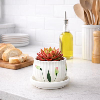 Decorative Accents