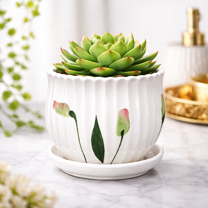 House of Elegance Hub 4 Inch Ceramic Planter Pot with Attached Saucer Tray | Premium Imported Ceramic Indoor Plant Pot for Succulents, Cactus & Bonsai | Decorative Small Flower Pot for Home, Office, Desk & Table Decor (White)