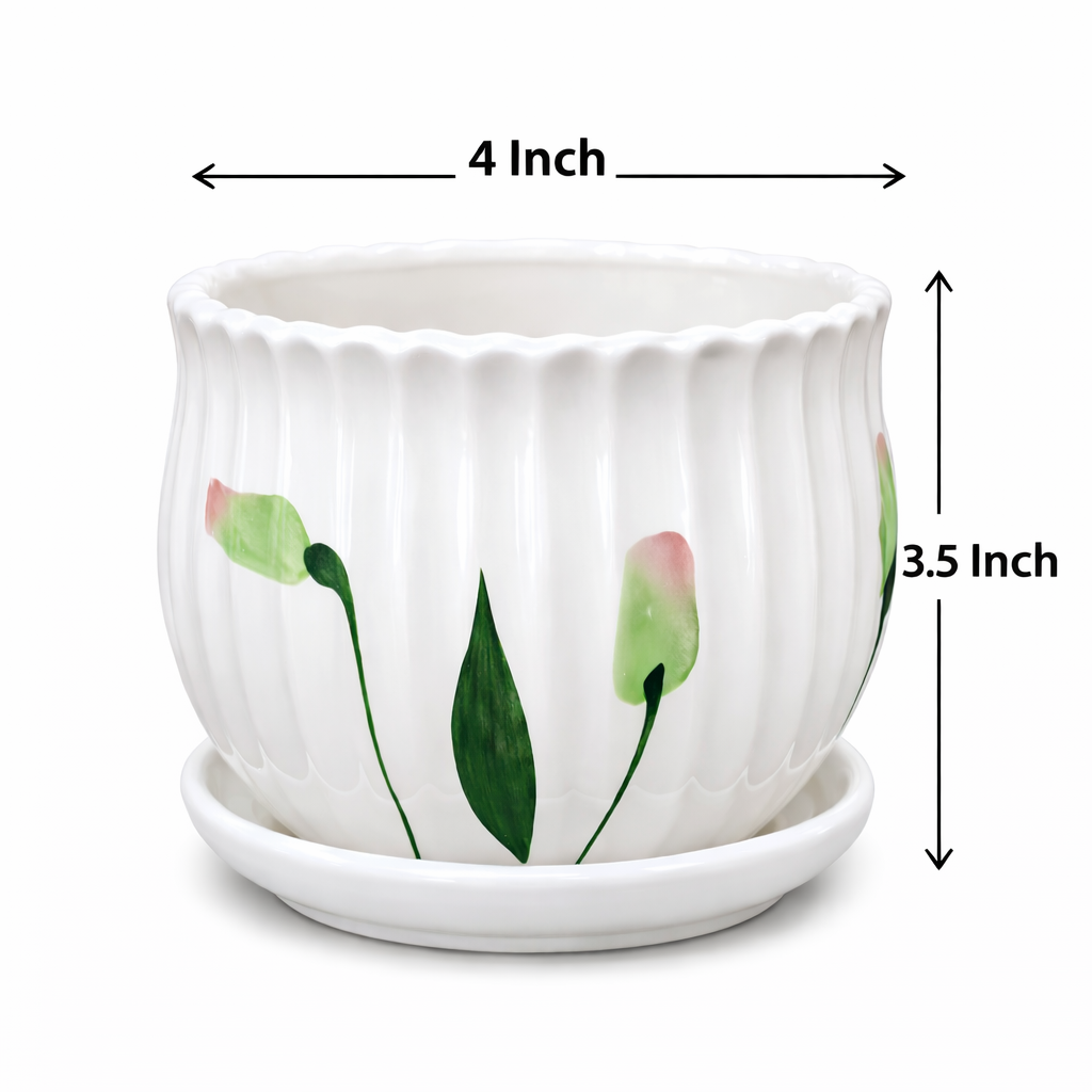 House of Elegance Hub 4 Inch Ceramic Planter Pot with Attached Saucer Tray | Premium Imported Ceramic Indoor Plant Pot for Succulents, Cactus & Bonsai | Decorative Small Flower Pot for Home, Office, Desk & Table Decor (White)
