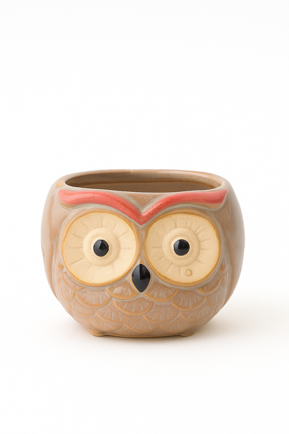 Cute Owl Head Ceramic Succulent Planter – 6.5 cm Mini Animal Pot for Home & Office Decor