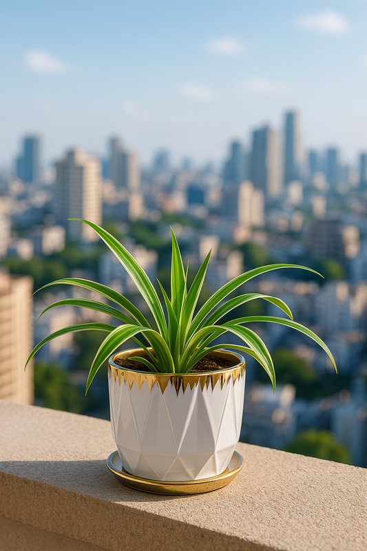 Elegant White & Gold Ceramic Planter – 5x5 Inch | Modern Tabletop Décor | HouseOfEleganceHub | Ceramic Planters for Home & Office Decoration | Indoor Plant Pot