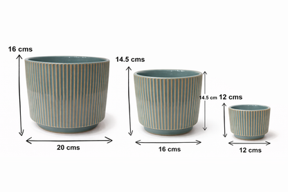 Modern Black / White Ceramic Planter (Set of 3 ) | Elegant Black / White Ribbed Design