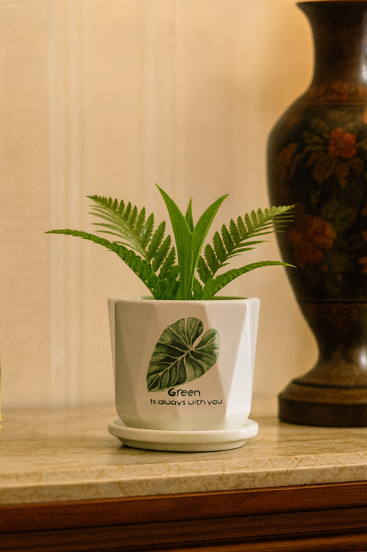 Premium Handcrafted White Ceramic Planter with Leaf Motif – 3.5x4 Inch | Elegant Small Indoor Plant Pot | HouseOfEleganceHub | Luxury Export Collection | Designer Ceramic Planter for Home & Office