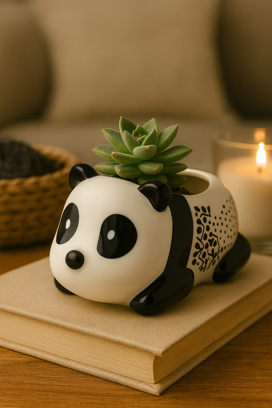 Big Eyes Panda Ceramic Planter – Cute Animal Succulent Pot (10 cm × 8 cm × 6 cm)