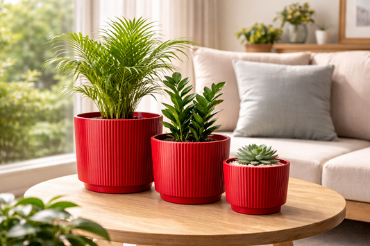 House of Elegance Hub Ceramic Planter Pots Set of 3 (Small, Medium, Large) | Ribbed Design Indoor Plant Pots for Living Room, Balcony & Office | Decorative Planters for Succulents & Home Decor