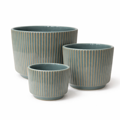 Modern Black / White Ceramic Planter (Set of 3 ) | Elegant Black / White Ribbed Design