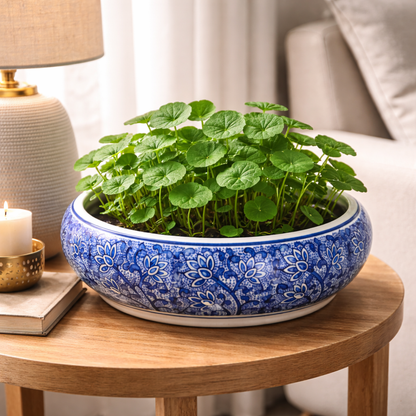 House of Elegance Hub Blue & White Porcelain Urli Bowl – Decorative Floating Flower Bowl with Water & Candle Setup | Premium Imported Ceramic Urli for Home Decor, Living Room & Festive Use