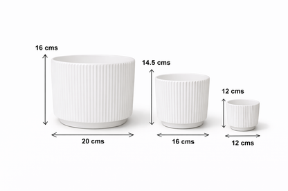 Modern Black / White Ceramic Planter (Set of 3 ) | Elegant Black / White Ribbed Design