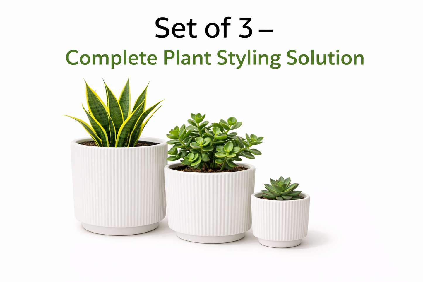 Modern Black / White Ceramic Planter (Set of 3 ) | Elegant Black / White Ribbed Design