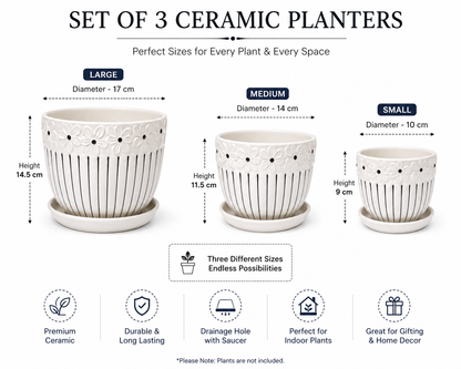 House of Elegance Hub Ceramic Planter Set of 3 with Tray | Premium White Embossed Flower Pots for Indoor Plants | Modern Decorative Ceramic Plant Pots for Living Room, Balcony, Office & Home Décor