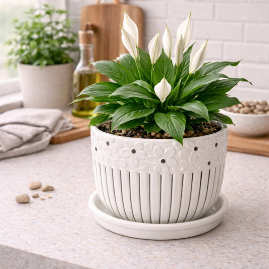 House of Elegance Hub Ceramic Flower Planter with Attached Tray (17 cm Dia × 14.5 cm Height | 6.7 in × 5.7 in) – White Floral Ribbed Pot for Indoor Plants