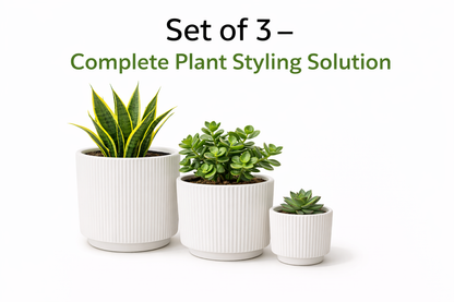 House of Elegance Hub Ceramic Planter Pots Set of 3 (Small, Medium, Large) | Ribbed Design Indoor Plant Pots for Living Room, Balcony & Office | Decorative Planters for Succulents & Home Decor