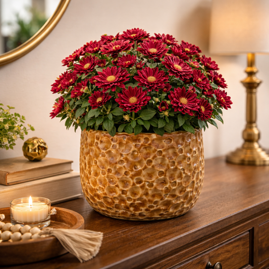 House of Elegance Hub Textured Yellow Ceramic Planter | Bubble Pattern Decorative Indoor Plant Pot | 14 cm Height × 13.5 cm Diameter | Tabletop Home & Office Décor